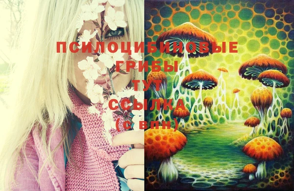 меф Богородицк