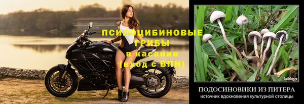 гидропоника Богданович