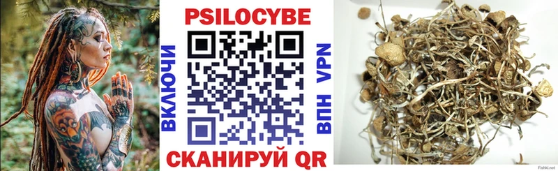 Купить закладки  Суоярви  Псилоцибиновые грибы мицелий 