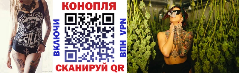 Купить закладки  Суоярви  Бошки Шишки планчик 
